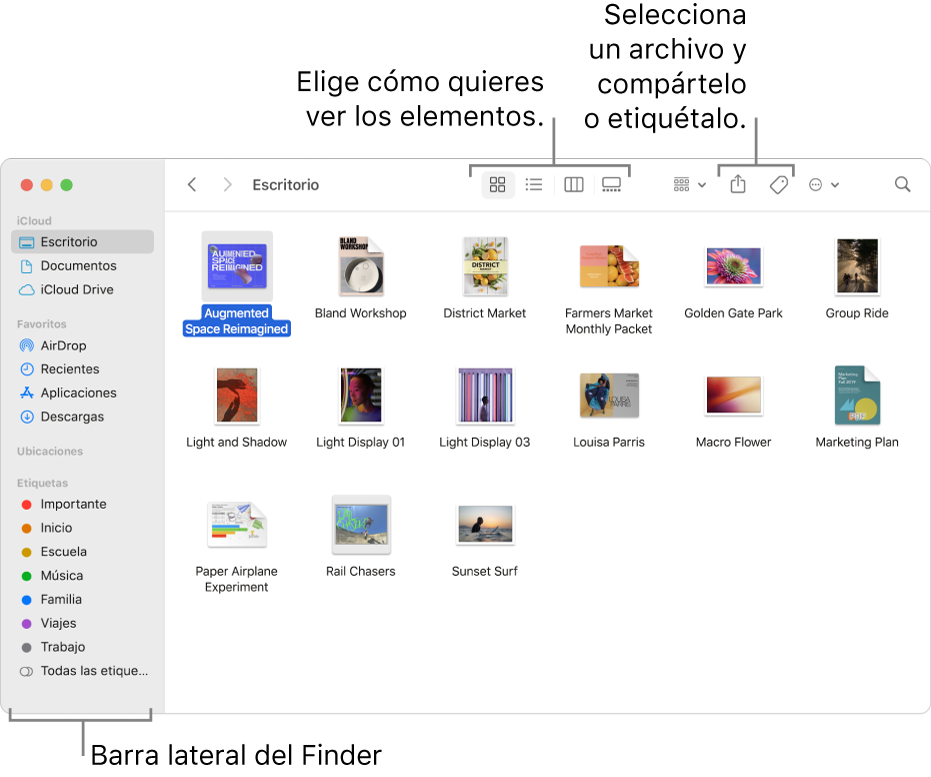 Una ventana del Finder con la barra lateral del Finder a la izquierda. En la parte superior de la ventana, hay cuatro botones que cambian la forma en que los elementos se muestran en la ventana, y botones adicionales para organizar y compartir los elementos.