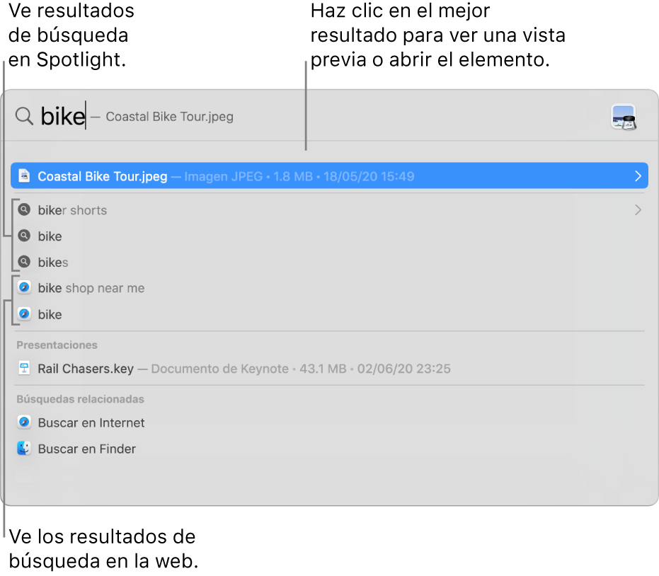 La ventana de Spotlight mostrando texto de búsqueda en el campo de búsqueda en la parte superior de la ventana, los resultados y sugerencias de búsqueda debajo.