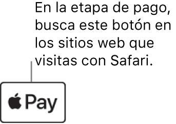 El botón que aparece en sitios web que aceptan compras con Apple Pay.