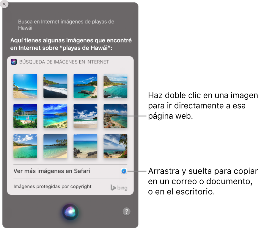Ventana de Siri mostrando los resultados de Siri de la solicitud “Buscar en la web imágenes de playas en Hawaii”. Puedes anclar los resultados al centro de notificaciones, hacer doble clic en una imagen para abrirla en la página web que contiene la imagen, o arrastrar una imagen a un correo, documento o al escritorio.