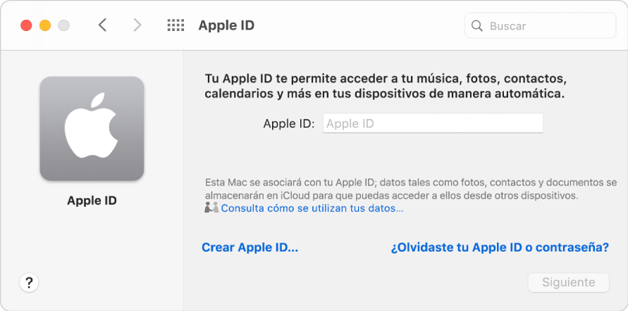 Diálogo de inicio de sesión Apple ID listo para la entrada del nombre y la contraseña del Apple ID.