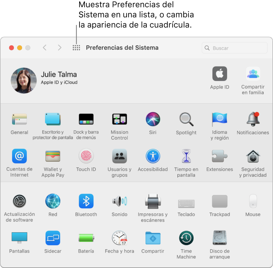 La ventana de Preferencias del Sistema con la cuadrícula de íconos. Haz clic en el botón "Mostrar todo" en la barra de herramientas de la ventana para ver las preferencias del sistema como una lista, o para cambiar el aspecto de la cuadrícula.