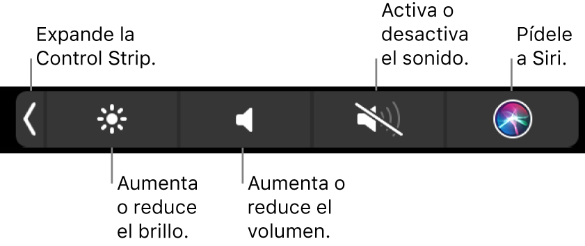 Los botones incluidos en la Control Strip contraída, de izquierda a derecha, para expandir la Control Strip, aumentar o reducir el brillo de la pantalla y el volumen, activar o desactivar el sonido, y pedirle a Siri.