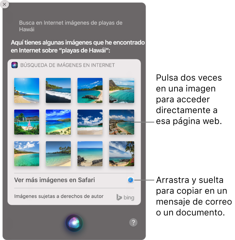 La ventana de Siri, con los resultados de Siri a la petición “Busca en la web imágenes de playas de Hawái”. Puedes hacer doble clic en una imagen para abrir la página web que contiene la imagen o arrastrar una imagen a un correo electrónico o documento o al escritorio.