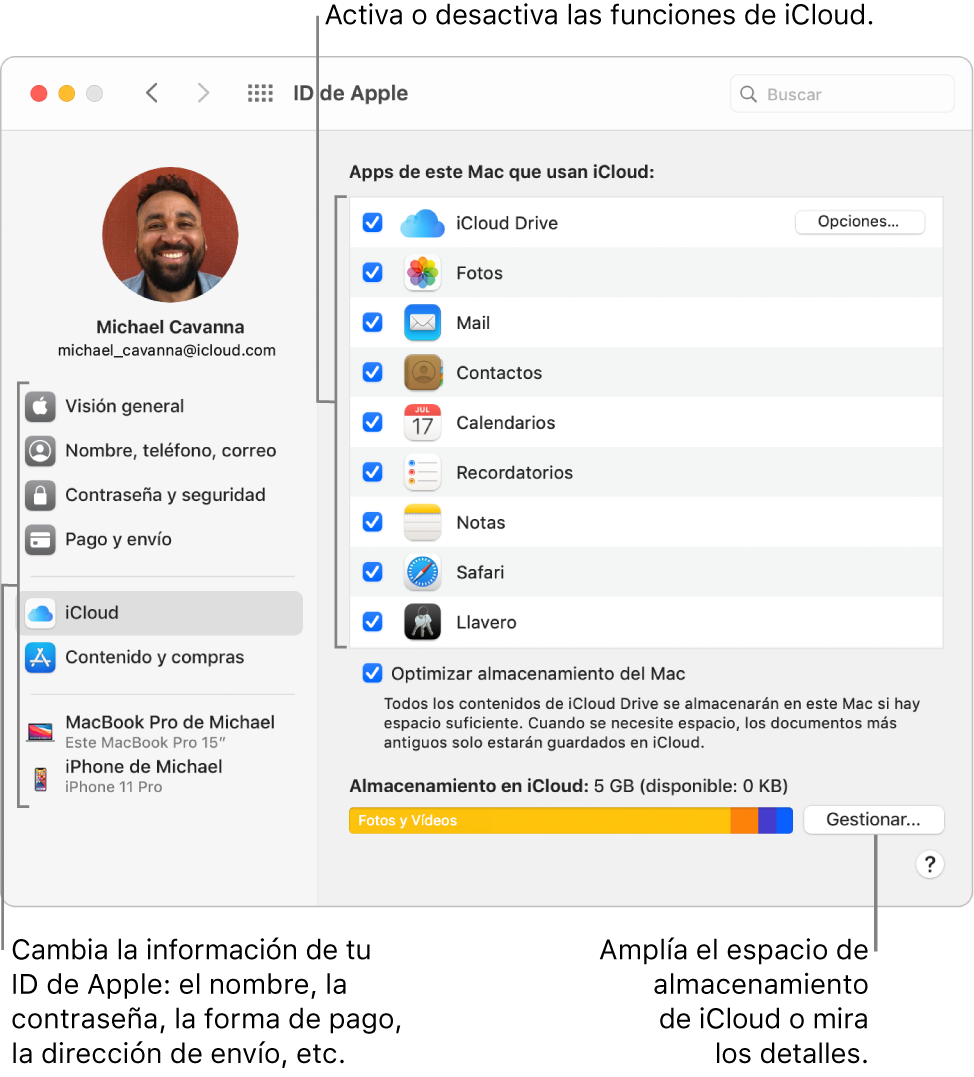 Panel de preferencias iCloud con todas las funciones seleccionadas.