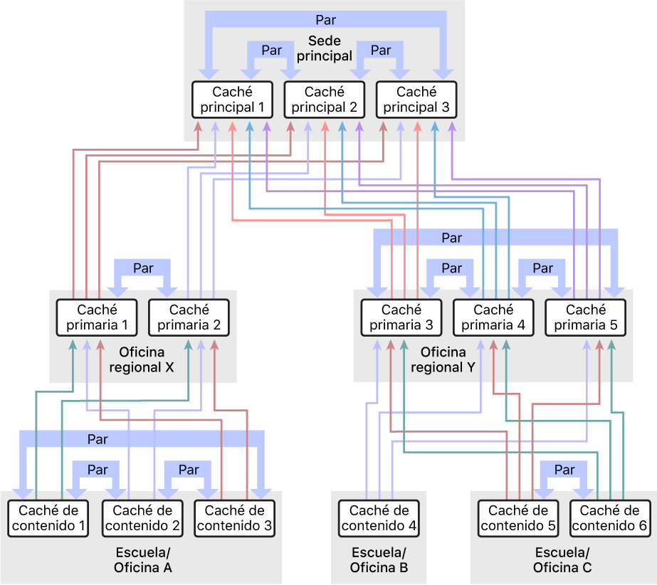 Una red con varias cachés de contenido, organizada en una jerarquía de tres niveles con cachés de contenido principal y principal de principal. Las cachés de contenido tienen pares definidas en cada nivel de la jerarquía.