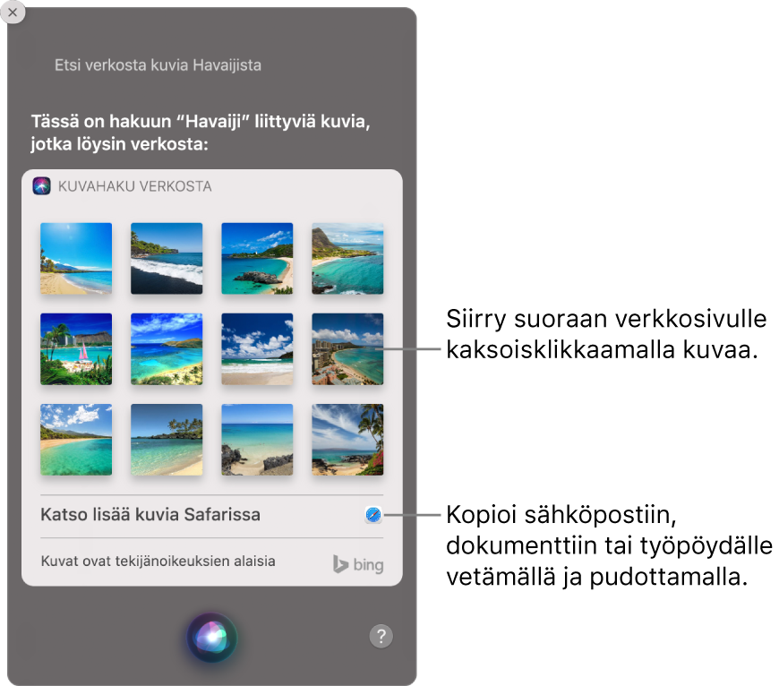 Siri-ikkuna, jossa näkyy pyynnöllä ”Etsi verkosta kuvia Havaijin hiekkarannoista” saadut Siri-tulokset. Voit avata kuvan verkkosivun kaksoisklikkaamalla kuvaa tai vetää kuvan sähköpostiin, dokumenttiin tai työpöydälle.