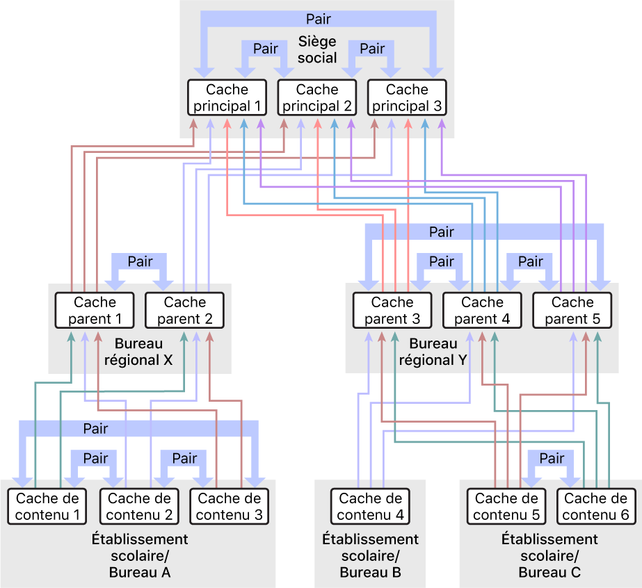 Un réseau avec plusieurs caches de contenu, organisé selon une hiérarchie à trois niveaux avec des caches de contenu parents et grands-parents. Les caches de contenu ont des pairs définis à chaque niveau de la hiérarchie.