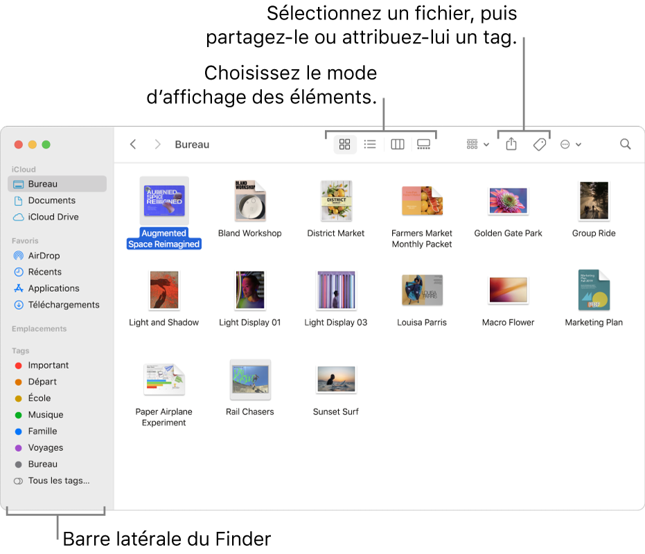 Une fenêtre du Finder avec la barre latérale du Finder sur la gauche. En haut de la fenêtre se trouvent quatre boutons qui modifient la présentation des éléments dans la fenêtre, ainsi que des boutons supplémentaires pour les organiser et les partager.