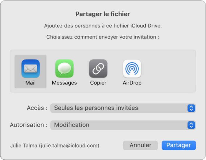 La fenêtre « Partager le fichier » affichant les apps que vous pouvez utiliser pour envoyer des invitations ainsi que les options de partage de documents.