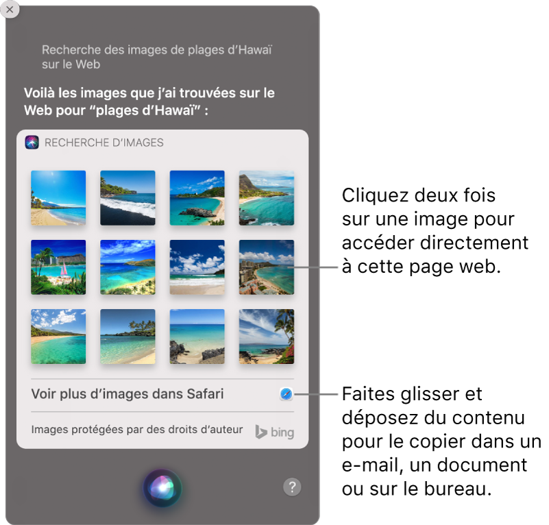 La fenêtre Siri affichant les résultats de Siri pour la demande “Recherche des images d’Hawaï sur le Web”. Vous pouvez cliquer deux fois sur une image pour ouvrir la page web qui contient l’image ou faire glisser une image dans un e-mail, dans un document ou sur le bureau.