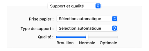 L’option Support et qualité affichant les menus locaux Prise papier et Type de support et un Curseur d’échelle de qualité.