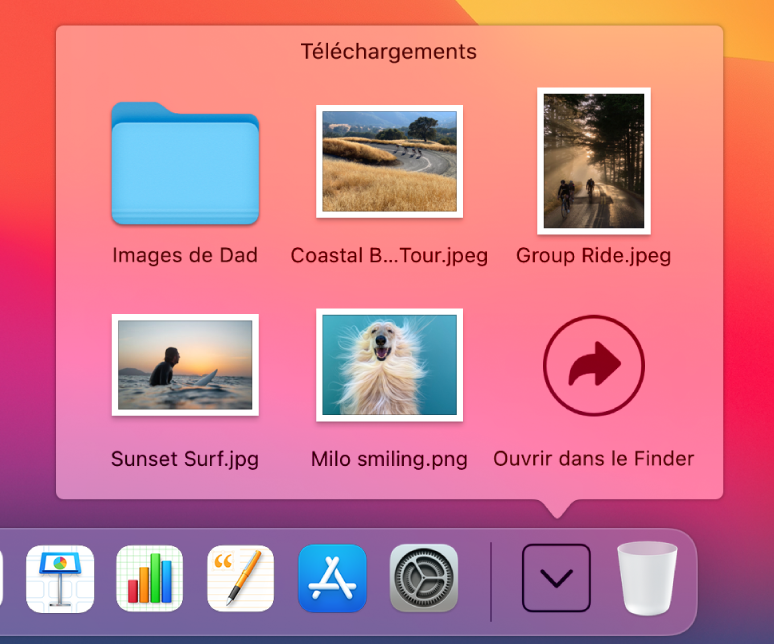 La pile Téléchargements dans le Dock ouverte pour afficher son contenu dans une grille.