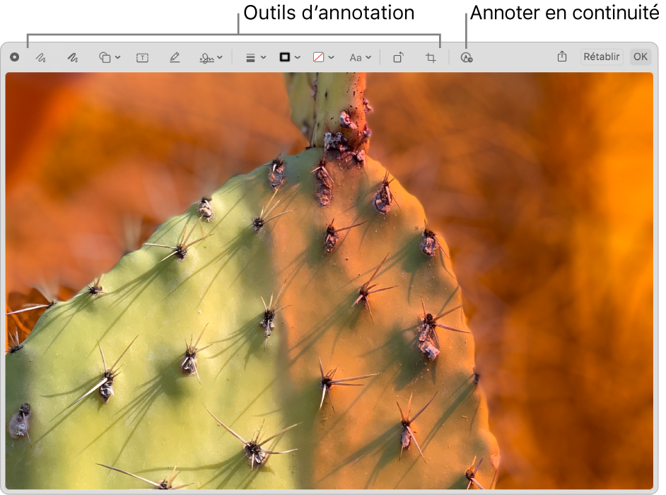 Une image dans la fenêtre d’annotation affichant la barre d’outils d’annotation et l’outil sur lequel cliquer pour utiliser Annotation Continuité sur un iPhone ou iPad se trouvant à proximité.