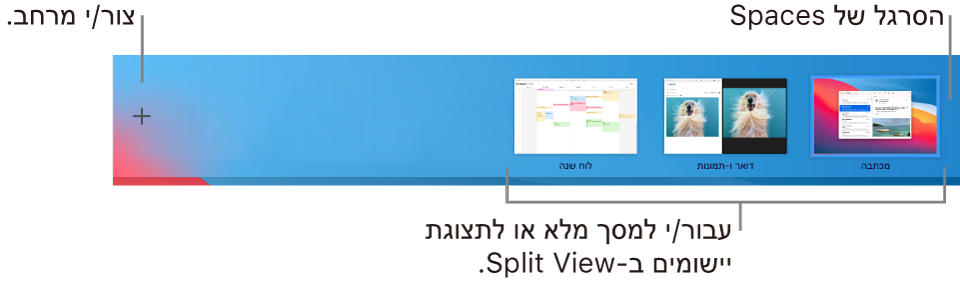 סרגל Spaces מראה מרחב מכתבה, יישומים במסך מלא וב‑Split View ואת הכפתור "הוסף" ליצירת מרחב.