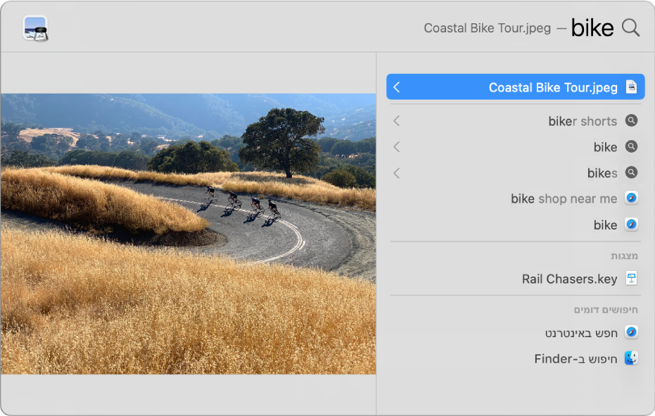 החלון של Spotlight שבו מוצג מלל חיפוש בשדה החיפוש שבראש החלון, תוצאות מופיעות למטה מימין ותצוגה מקדימה של התוצאה המובילה מופיעה מימין.