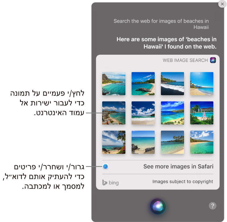 חלון Siri עם תוצאות Siri בהתאם לבקשה ״תחפש באינטרנט תמונות של חופים בהוואי״. ניתן ללחוץ פעמיים על תמונה כדי לפתוח את עמוד האינטרנט ממנו היא לקוחה, או לגרור תמונה לתוך הודעת דוא״ל או מסמך, או למכתבה.