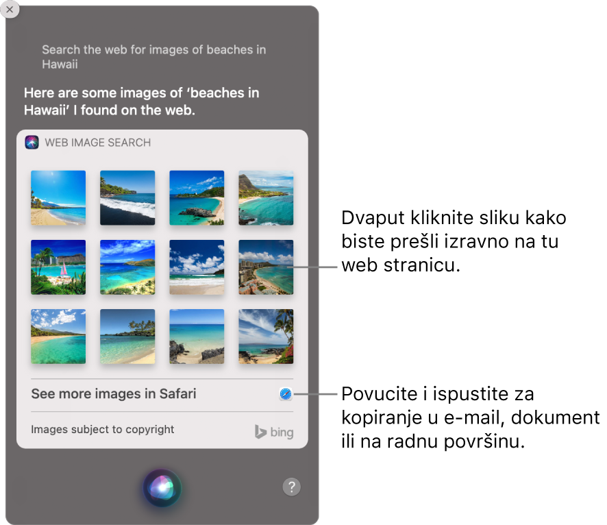 Prozor Siri s prikazom Siri rezultata zahtjeva “Search the web for images of beaches in Hawaii”. Možete dvaput kliknuti na sliku za otvaranje web stranice koja sadrži tu sliku ili povući sliku u e-mail ili dokument ili na radnu površinu.
