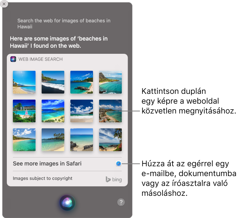 A Siri ablaka, amelyben a következő kérésre vonatkozó eredmények láthatók.„Search the web for images of beaches in Hawaii.” Kattintson duplán a képre, ha meg szeretné nyitni a képet tartalmazó weboldalt, vagy e-mailbe, dokumentumba, illetve az íróasztalra húzhatja a képet.