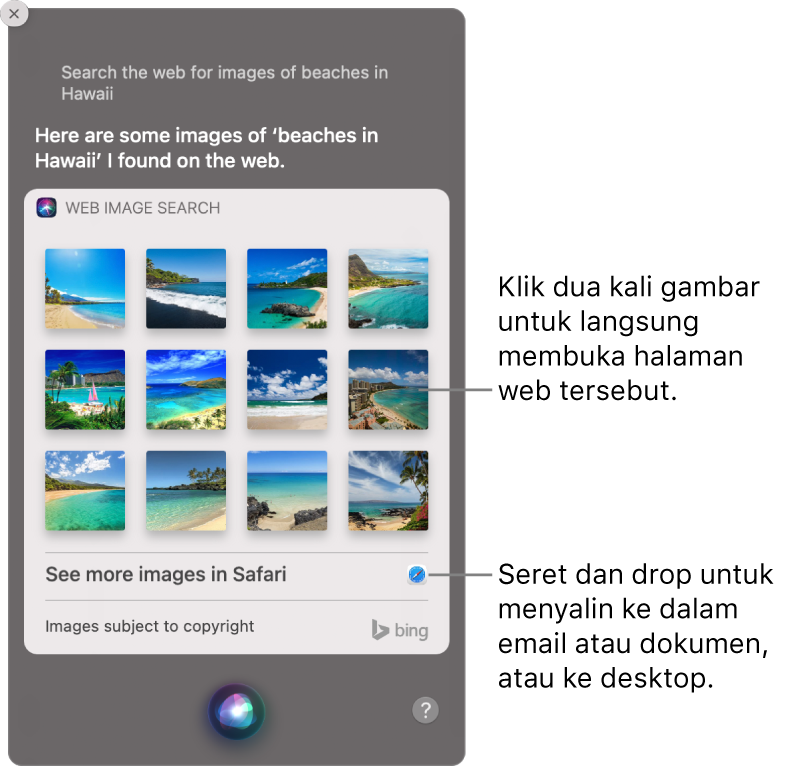 Jendela Siri menampilkan hasil Siri untuk permintaan “Search the web for images of beaches in Hawaii.” Anda dapat mengeklik dua kali gambar untuk membuka halaman web yang berisi gambar, atau menyeret gambar ke dalam email atau dokumen atau ke desktop.