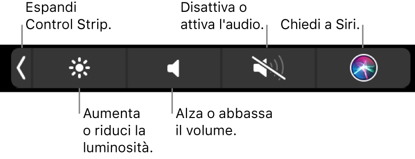 Quando è contratta, Control Strip include i pulsanti, da sinistra a destra, per espandere Control Strip, aumentare o diminuire la luminosità del monitor e il volume, disattivare o attivare i suoni e fare richieste a Siri.