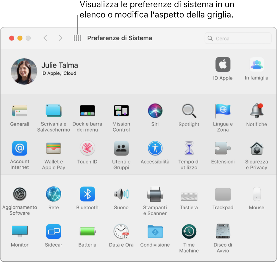 La Finestra di Preferenze di Sistema con la griglia delle icone. Fai clic sul pulsante “Mostra tutte” nella barra degli strumenti della finestra per visualizzare tutte le preferenze di sistema sotto forma di elenco o modificare l'aspetto della griglia.