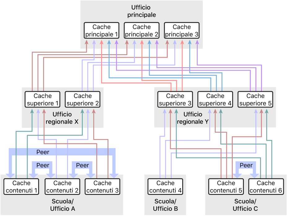 Una rete con molte cache dei contenuti, organizzata in una gerarchia a tre livelli, con cache padre e cache padre del padre. Solo le cache dei contenuti al livello più basso della gerarchia hanno peer definiti.