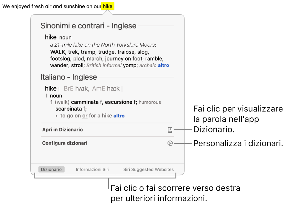 La finestra di ricerca che mostra le definizioni di una parola in Dizionario e Sinonimi e contrari.