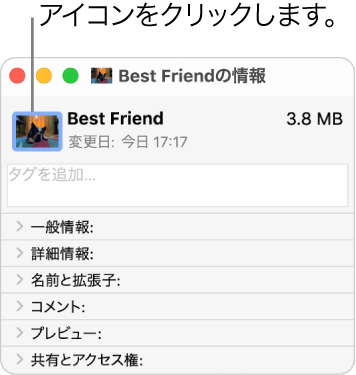 フォルダの「情報」ウインドウ。アイコンにピクチャが表示されています。