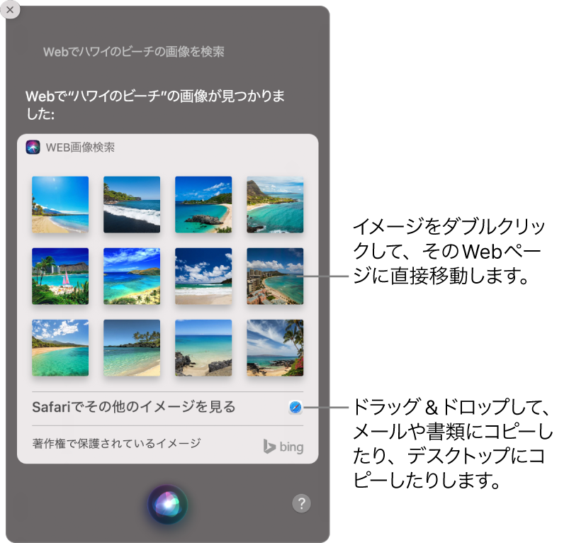 「ハワイのビーチの画像をWebで検索して」というリクエストの結果が表示されたSiriウインドウ。その画像をダブルクリックして画像を含むWebページを開いたり、画像をメール、書類、またはデスクトップにドラッグしたりできます。