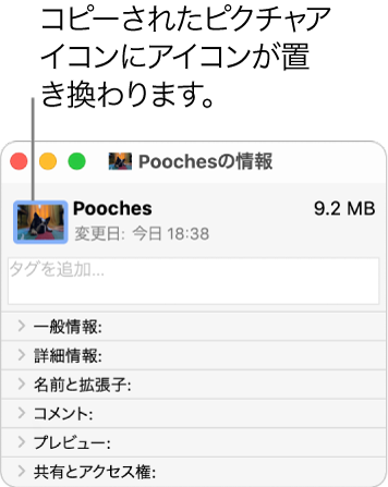 ほかのフォルダの「情報」ウインドウ。元のフォルダのピクチャのアイコンに置き換えられた一般的なアイコンが表示されています。