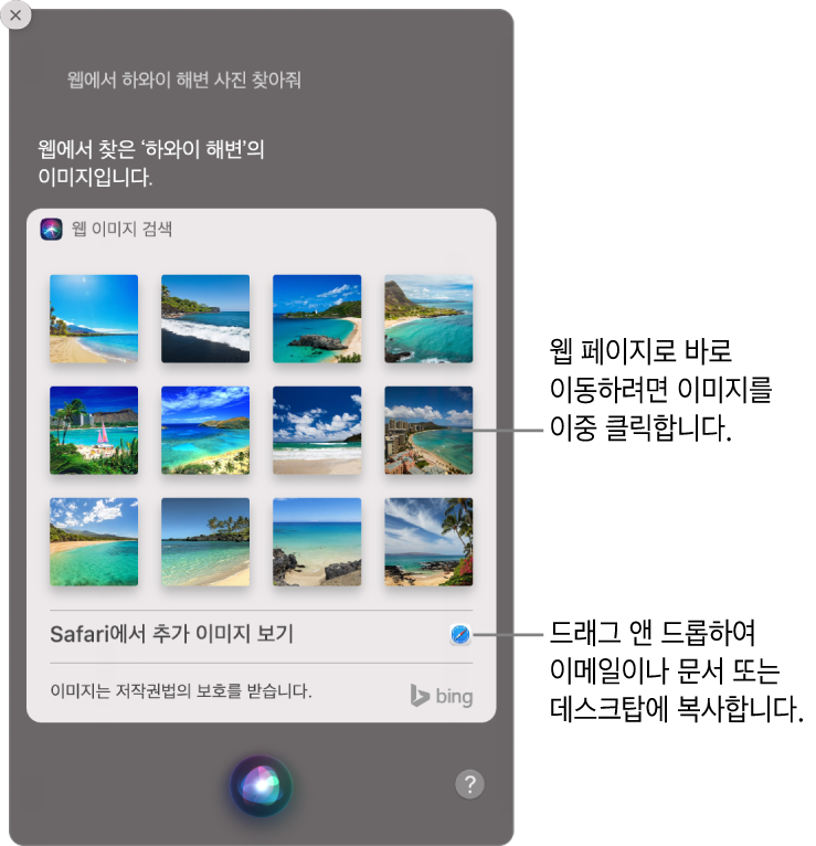 “인터넷에서 하와이 해변 이미지 찾아줘.”라는 요청에 대한 Siri 결과를 보여주는 Siri 윈도우. 이미지를 이중 클릭하여 해당 이미지가 있는 웹 페이지를 열거나, 이미지를 이메일, 문서 또는 데스크탑으로 드래그할 수 있음.