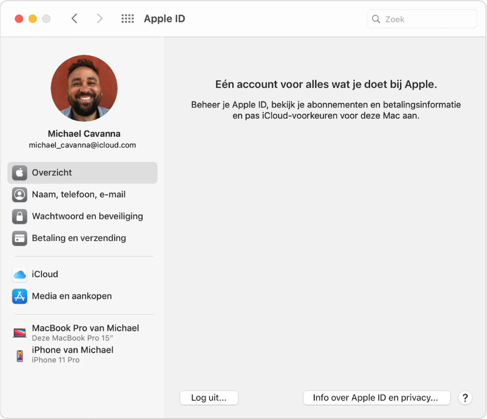 Het paneel 'Apple ID' in Systeemvoorkeuren, met een navigatiekolom met daarin verschillende typen accountopties die je kunt gebruiken, en het voorkeurenpaneel 'Overzicht' voor een bestaande account.