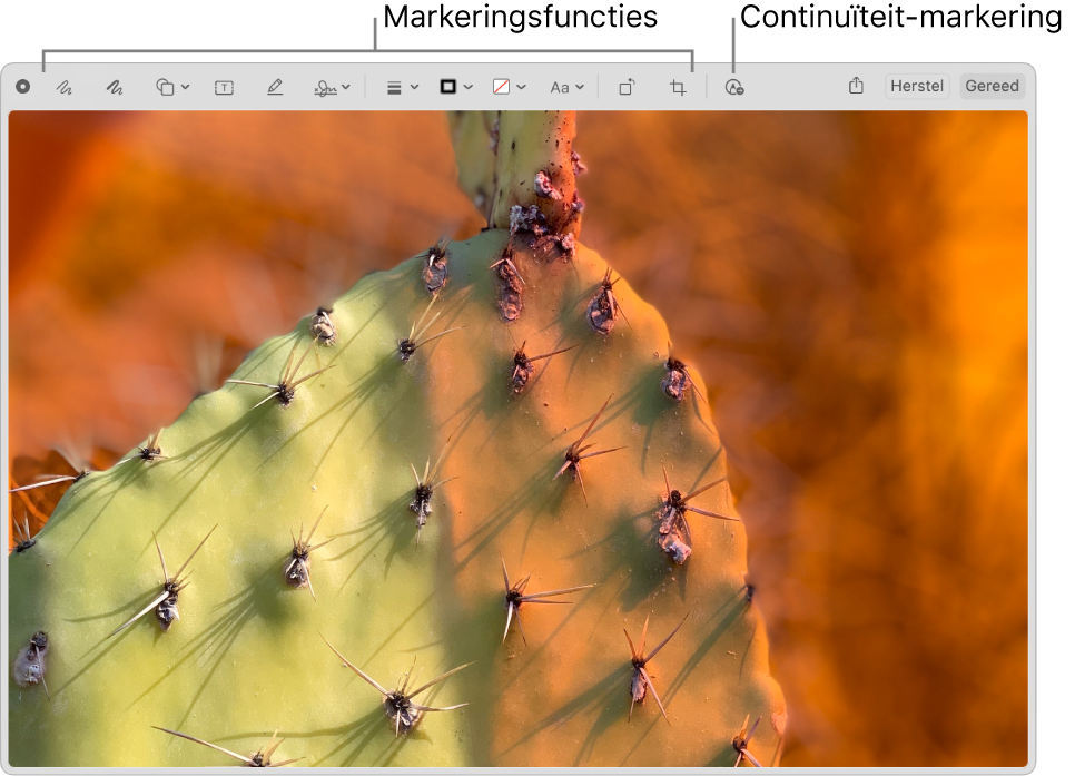 Een afbeelding in het markeringsvenster waarin de knoppenbalk met markeringsopties te zien is, evenals de optie om Continuïteitsmarkeringen te gebruiken op een iPhone of iPad die in de buurt is.