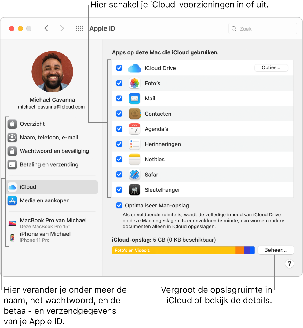 Het paneel 'iCloud' in Systeemvoorkeuren waarin alle voorzieningen zijn geselecteerd.