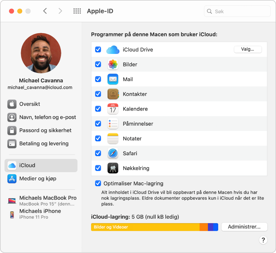 Apple-ID-valg viser et sidepanel med ulike typer kontoalternativer du kan bruke, og iCloud-valgene for en eksisterende konto.