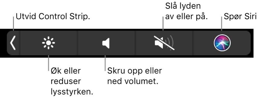 Når Control Strip er minimert, inneholder den knapper, fra venstre mot høyre, for å utvide Control Strip, øke eller redusere lysstyrke og volum, slå lyden av eller på og spørre Siri.