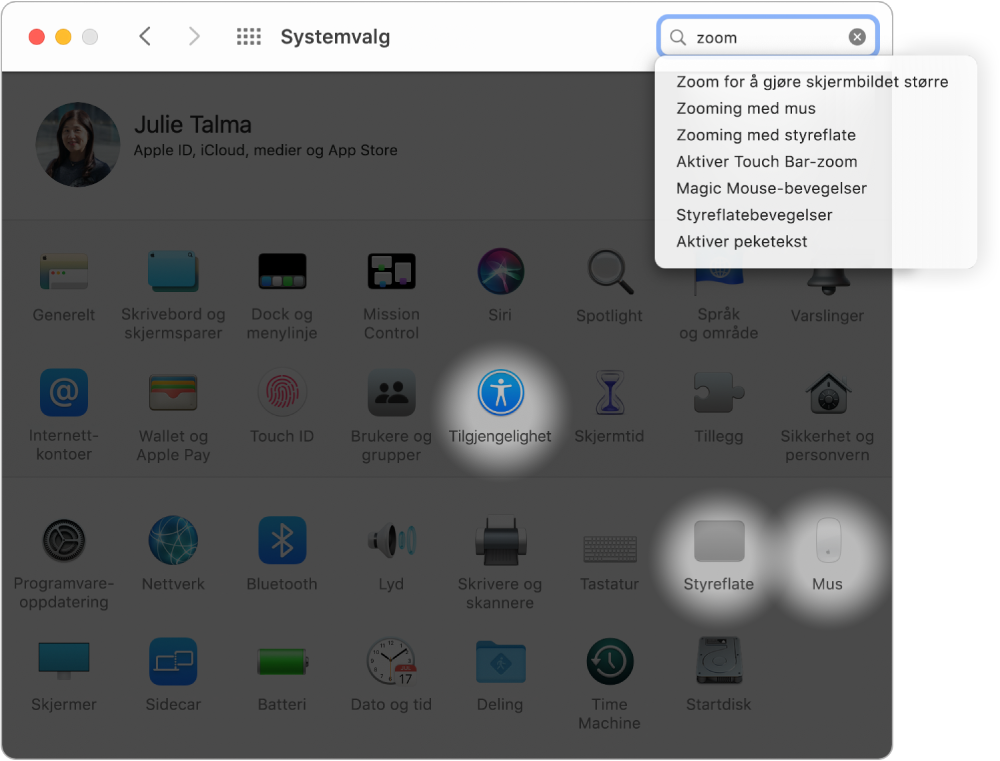 Systemvalg-vinduet som viser «zoom» i søkefeltet, en liste over søkeresultater under søkefeltet, og tre valgpanel-symboler som er markert.