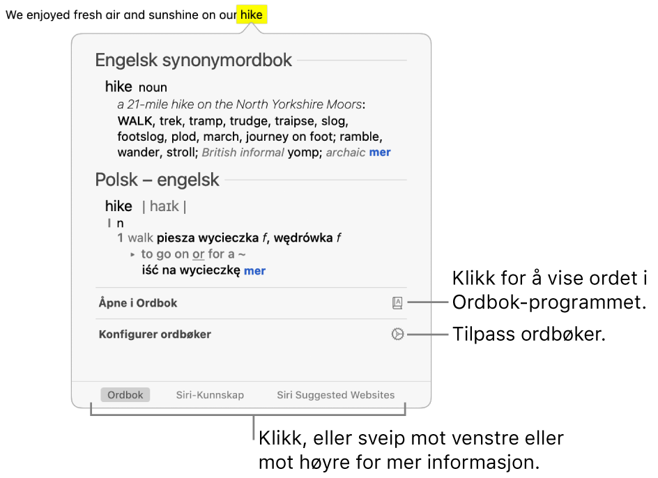 Slå opp-vinduet som viser Ordbok- og Synonymordbok-definisjoner for et ord.