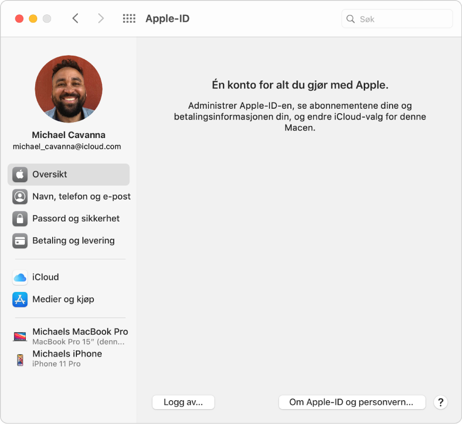 Apple-ID-valg viser et sidepanel med ulike typer kontoalternativer du kan bruke, og Oversikt-valgene som viser en Logg av-knapp.