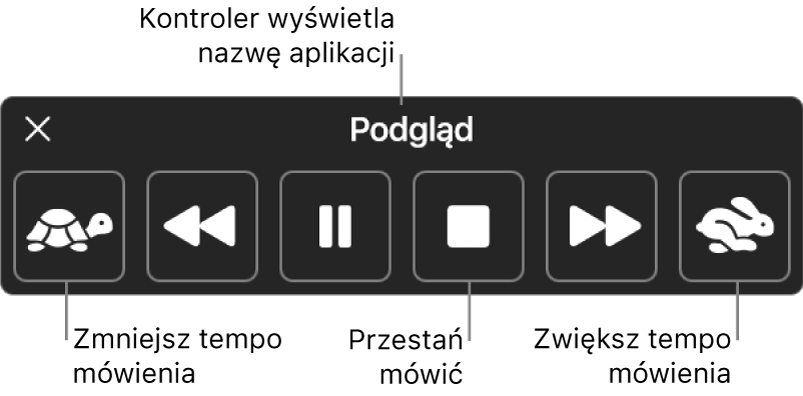 Kontroler ekranowy, który może być wyświetlany, gdy Mac czyta zaznaczony tekst. Kontroler zawiera sześć przycisków, przy użyciu których można, od lewej do prawej: zmniejszać szybkość mowy, przechodzić o jedno zdanie wstecz, włączać lub wstrzymywać mowę, wyłączać mowę, przechodzić o jedno zdanie dalej oraz zwiększać szybkość mowy. Na górze kontrolera wyświetlana jest nazwa aktualnie używanej aplikacji.