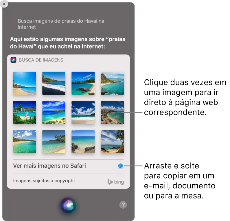 Janela da Siri mostrando os resultados da Siri ao pedido “Busque na web por imagens de praias no Havaí”. Você pode clicar duas vezes em uma imagem para abrir a página web que a contém ou arrastar uma imagem para um e-mail ou documento ou para a mesa.