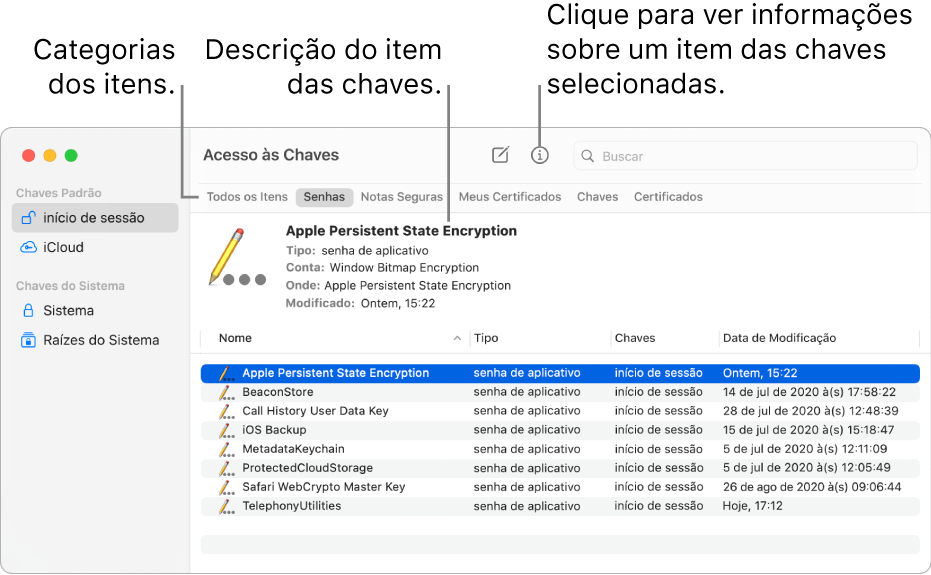 Janela do Acesso às Chaves mostrando chaves na barra lateral. À direita é mostrada a descrição de uma senha de chave de início de sessão selecionada.