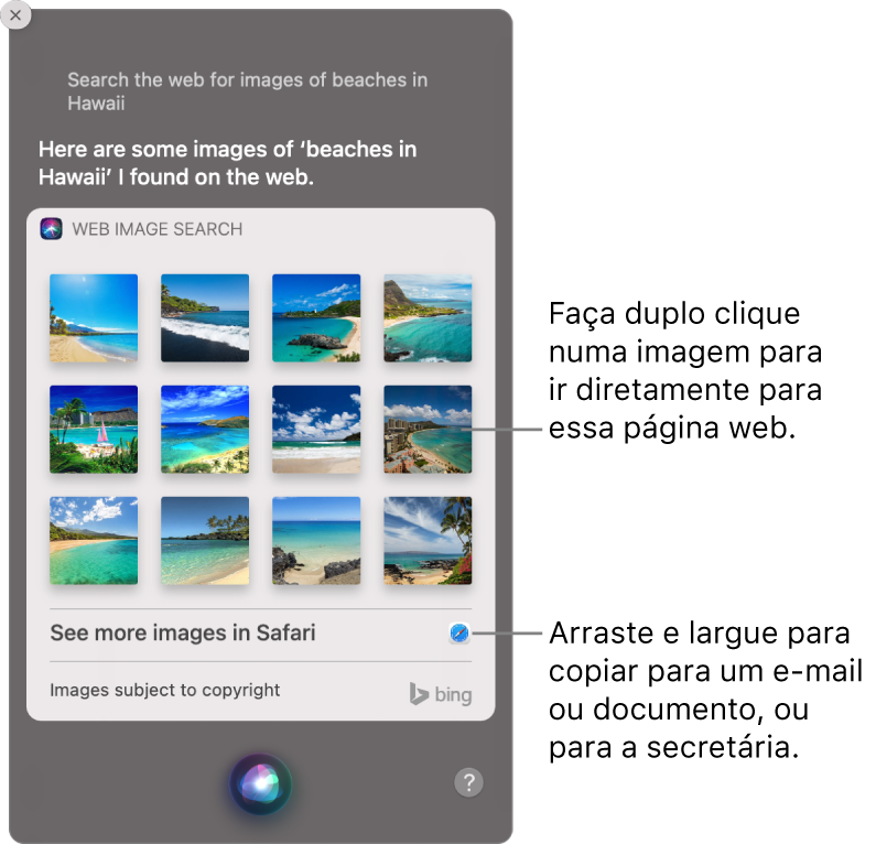 A janela de Siri a mostrar os resultados de Siri ao pedido “Search the web for images of beaches in Hawaii.”. Pode fazer duplo clique numa imagem para abrir uma página da web que contenha uma imagem ou arrastar uma imagem para um e-mail ou documento ou para a secretária.