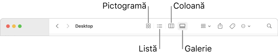 Partea de sus a unei ferestre Finder afișând butoanele “Opțiuni de vizualizare” pentru un dosar.