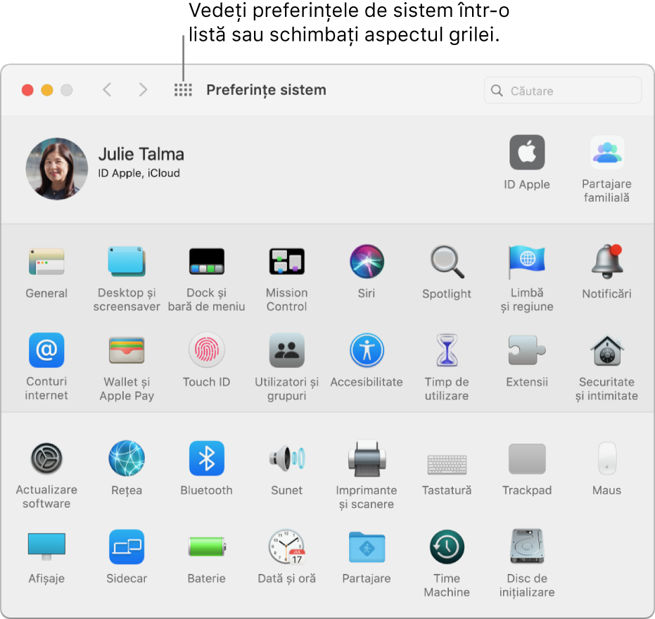 Fereastra Preferințe sistem afișând grila de pictograme. Faceți clic pe butonul Afișează tot în bara de instrumente a ferestrei pentru a vedea preferințele de sistem sub formă de listă sau modificați aspectul grilei.