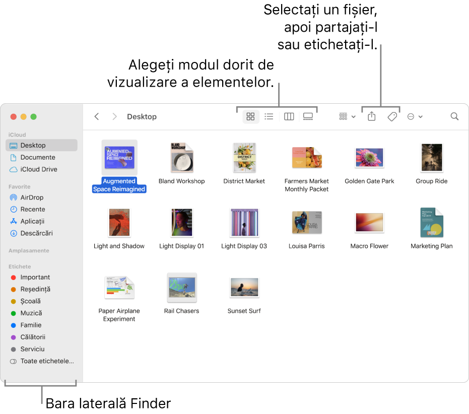 O fereastră Finder cu bara laterală din Finder pe stânga. În partea de sus a ferestrei se află patru butoane care schimbă modul de afișare a articolelor în fereastră și alte butoane pentru organizarea și partajarea articolelor.