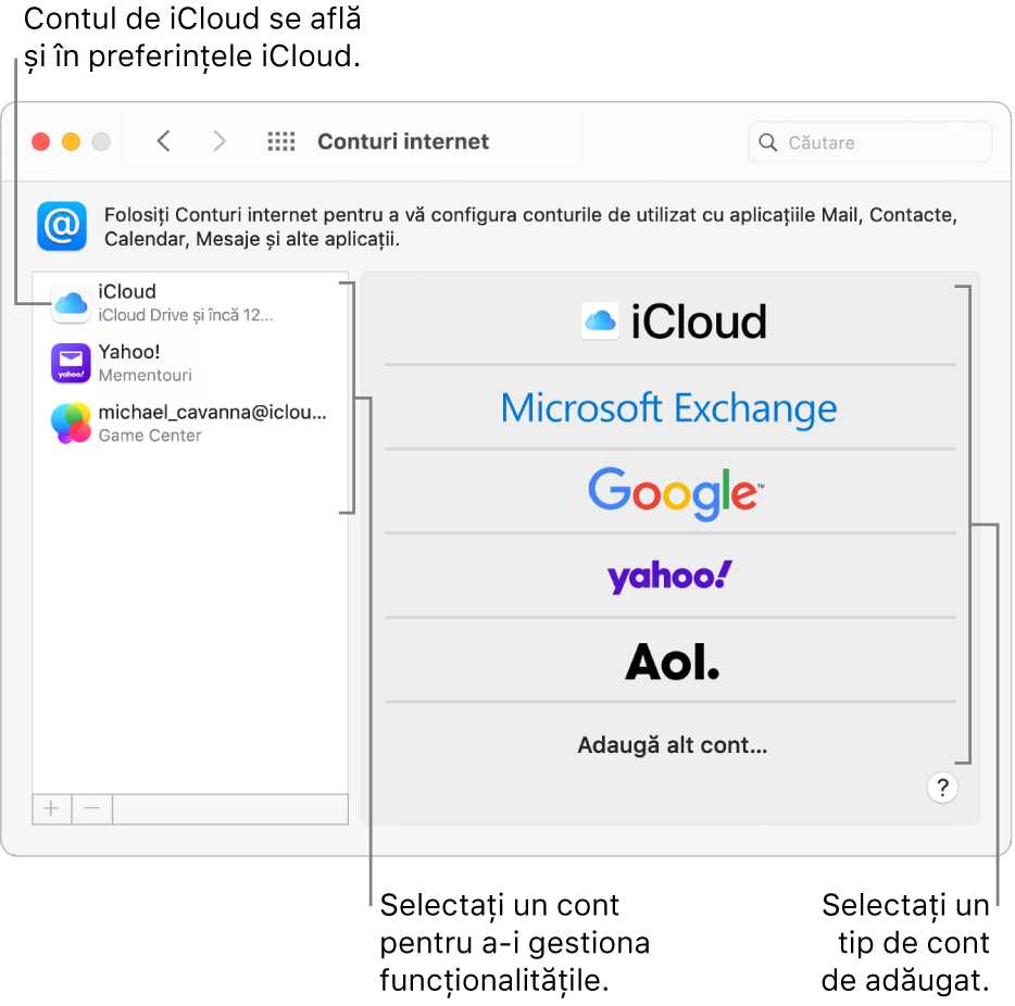 Preferințele Conturi Internet cu conturile enumerate în partea dreaptă și tipurile de cont disponibile enumerate în partea stângă.