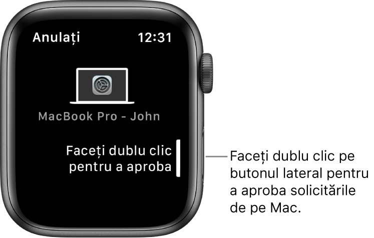Apple Watch afișând o solicitare de aprobare din partea unui MacBook Pro.