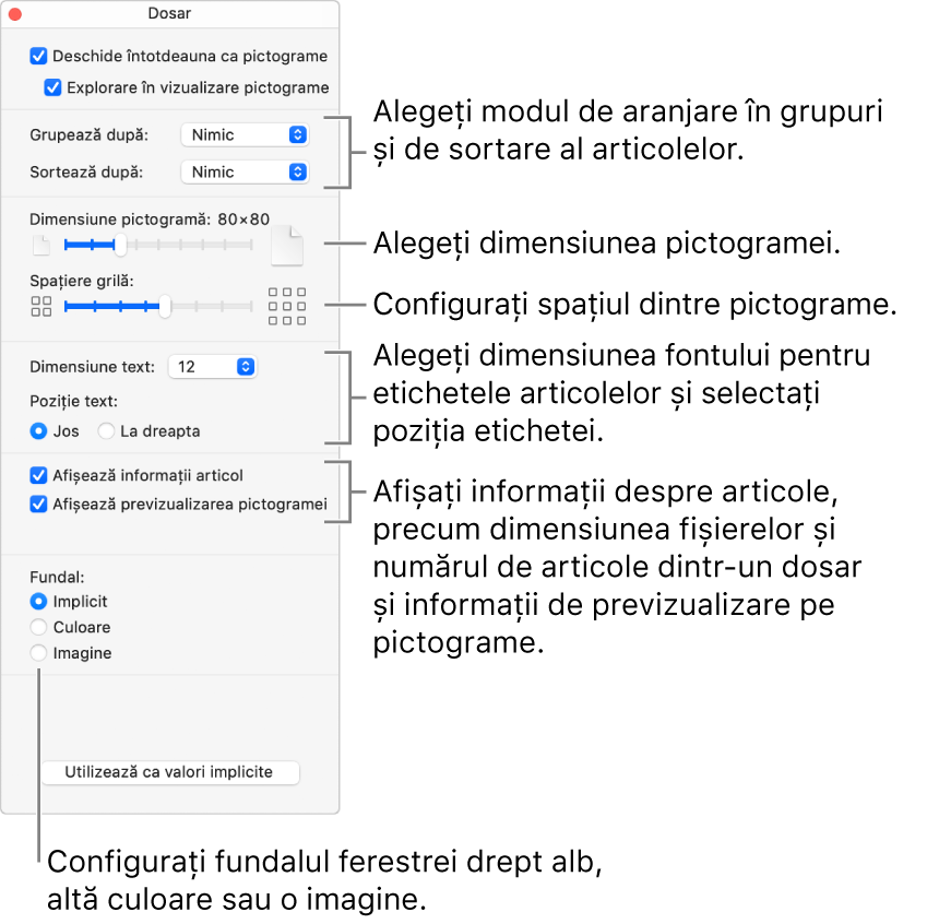 Opțiunile de vizualizare Pictogramă pentru un dosar.